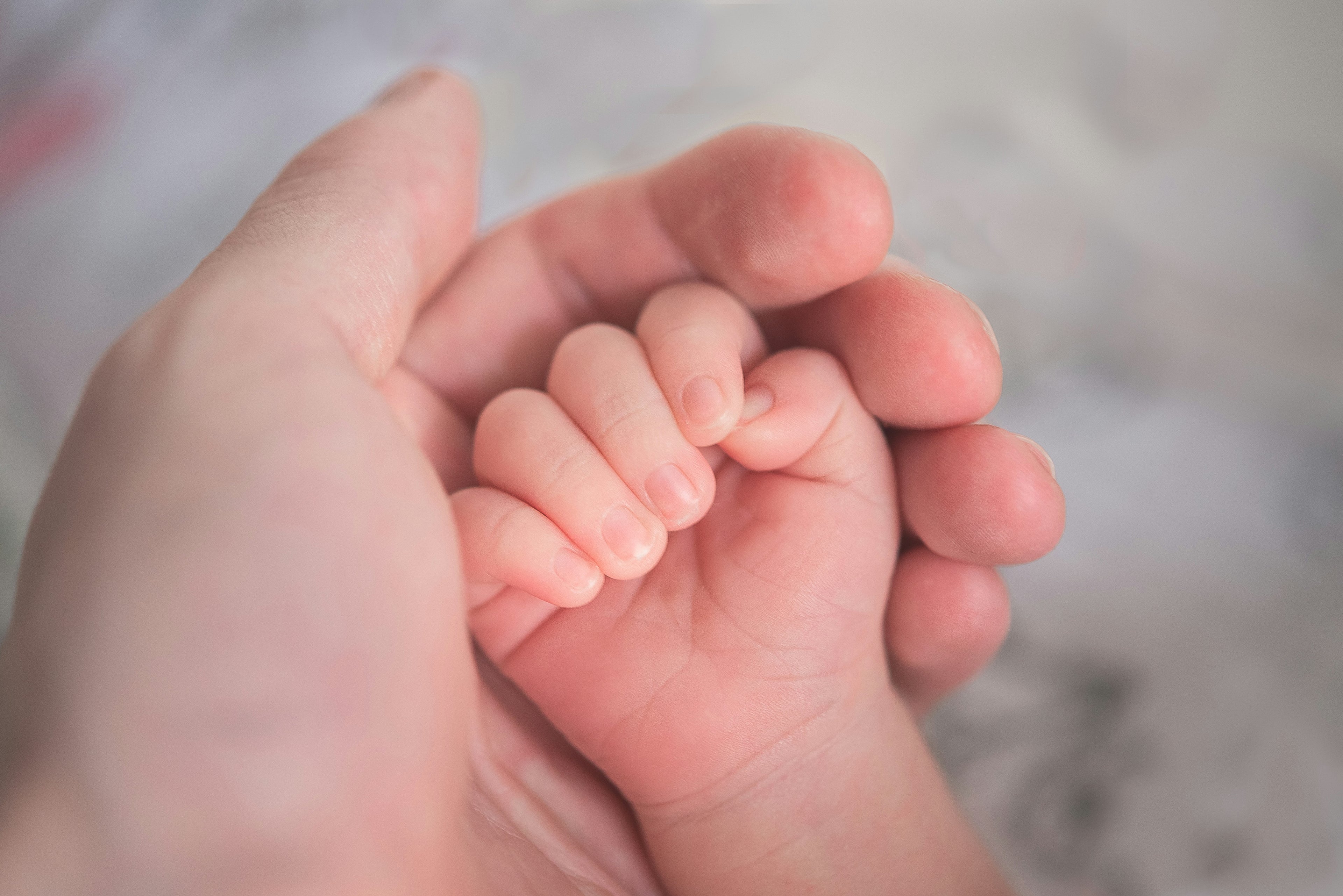 baby hand in adult hand
